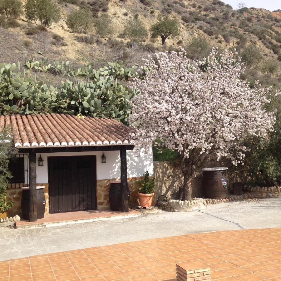 Cortijo Pilongo Apartamento Monachil Exterior foto